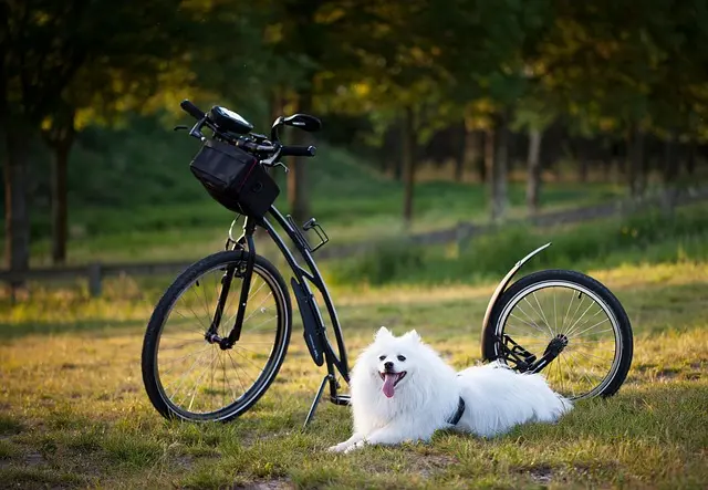Les 10 meilleures astuces pour animer une Mega Fun Zone