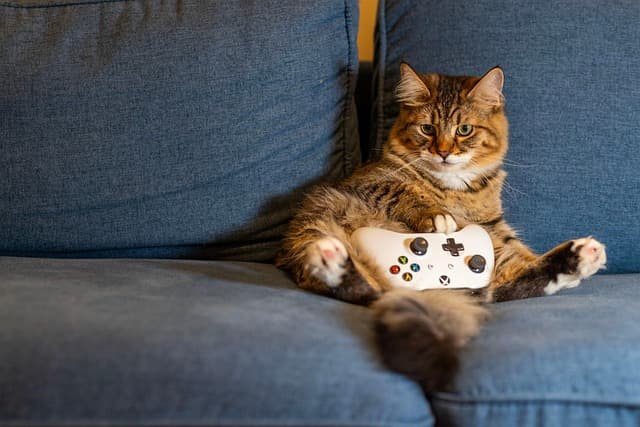 Les meilleures idées de jeux de société pour votre Mega Fun Zone